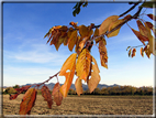 foto Alle pendici del Monte Grappa in Autunno